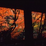 京都 -kyoto-
